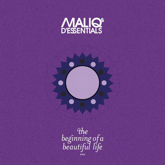 Album cover art for The Beginning Of A Beautiful Life
