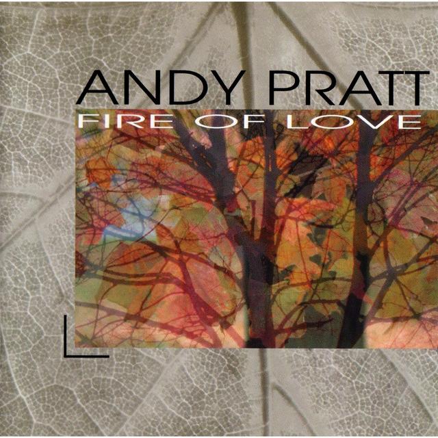 Album cover art for Fire of Love