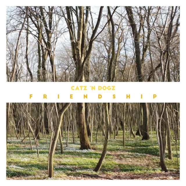 Album cover art for Friendship