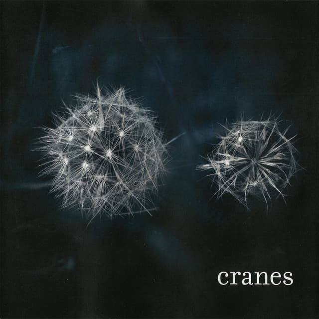 Album cover art for Cranes