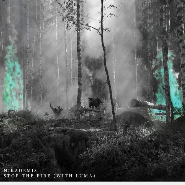 Album cover art for Stop the Fire