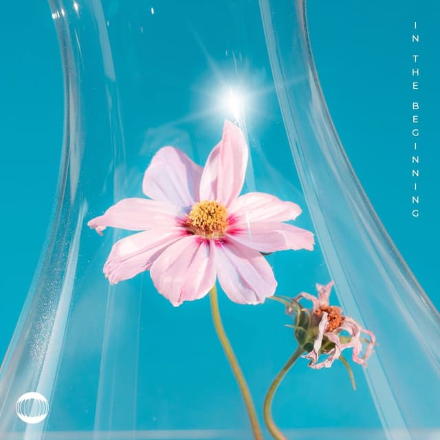Album cover art for In The Beginning