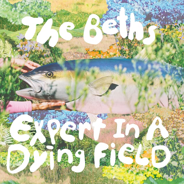 Album cover art for Expert in a Dying Field