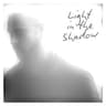 Light in the Shadow