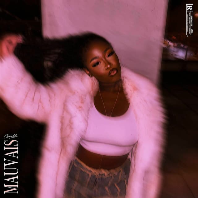 Album cover art for Mauvais