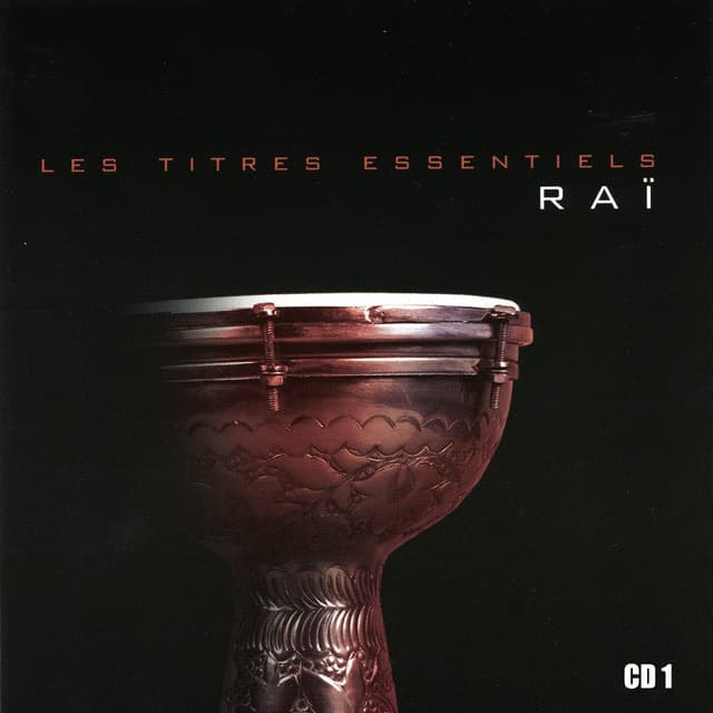 Album cover art for Les titres essentiels du raï