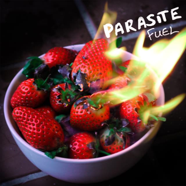 Album cover art for Fuel