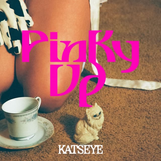 Album cover art for PINKY UP