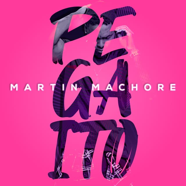 Album cover art for Pegaito