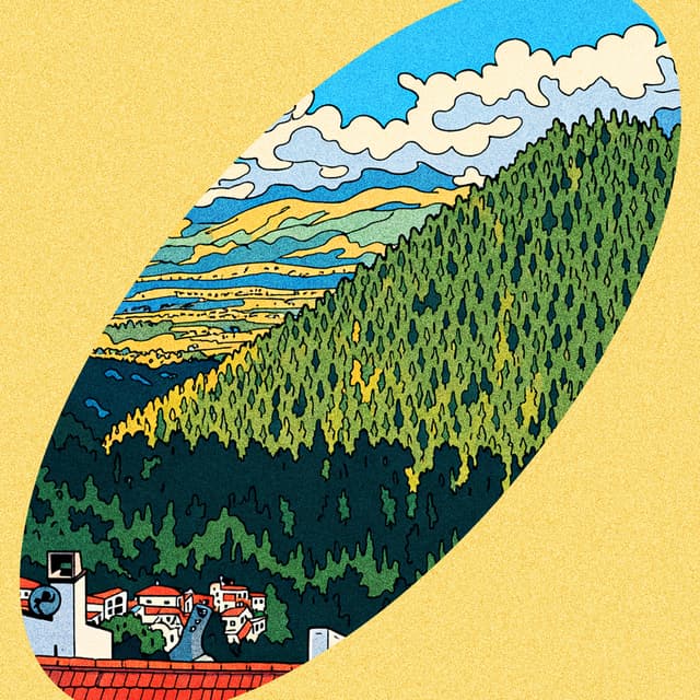 Album cover art for Divulgar