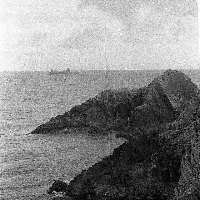 Album cover art for Ribbon Vine