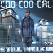 Album cover art for STILL WALKIN