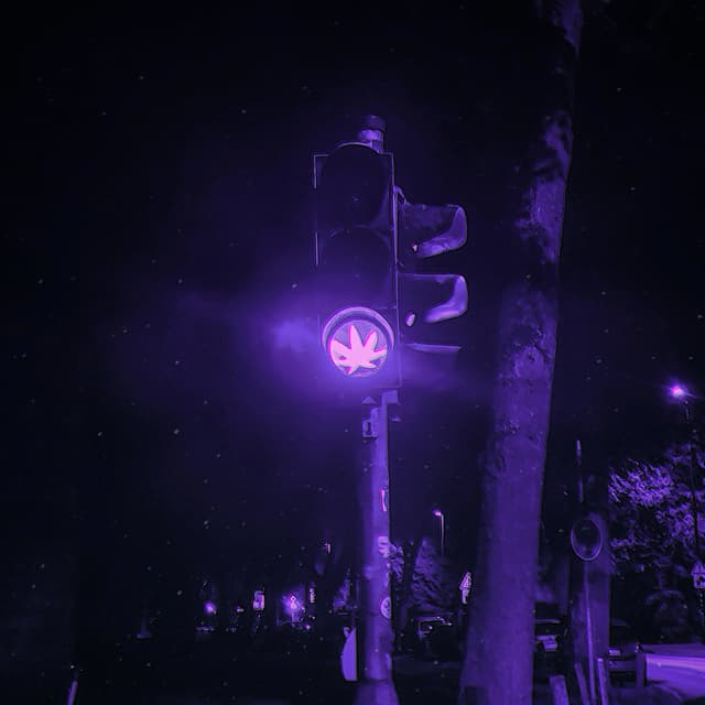Album cover art for one day or day one