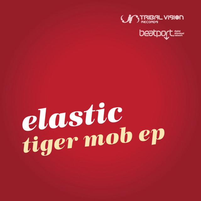 Album cover art for Tiger Mob