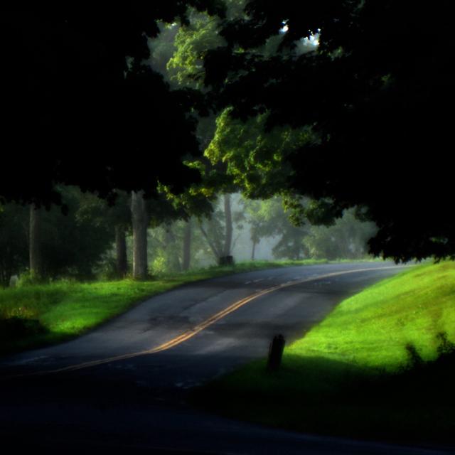 Album cover art for Treehouse