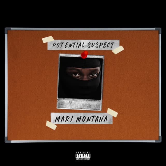 Album cover art for Potential Suspect
