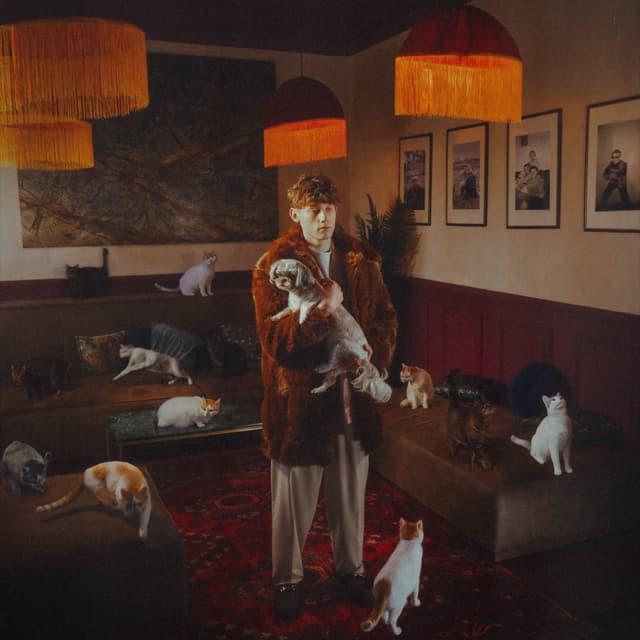Album cover art for Mój kot zaginął i już raczej nie wróci