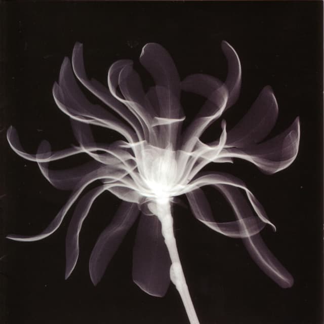 Album cover art for Vertigo
