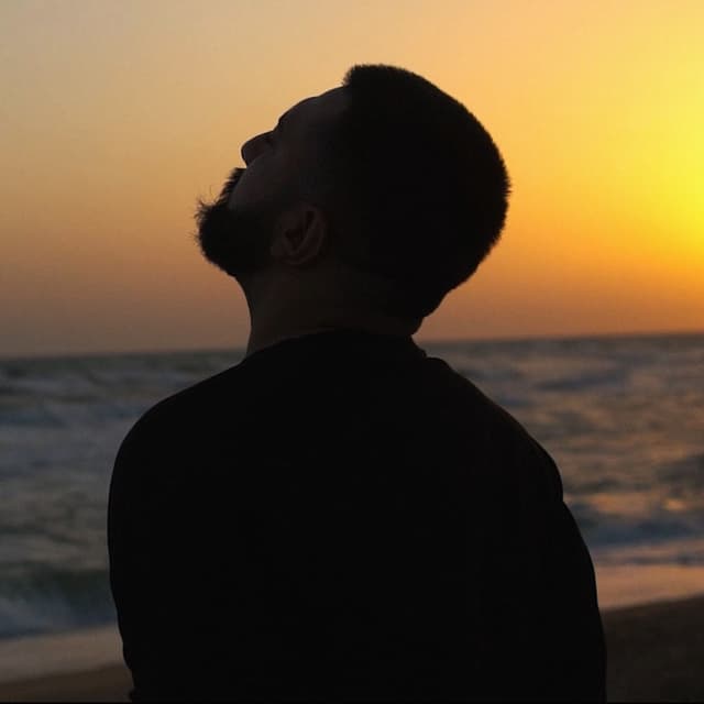 Album cover art for Havalardan