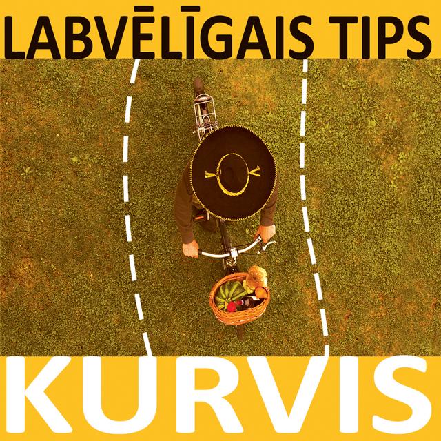 Album cover art for Kurvis