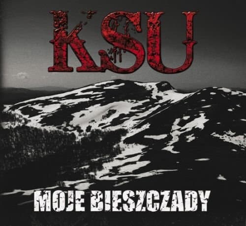 Album cover art for Moje Bieszczady