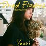 Dried Flowers