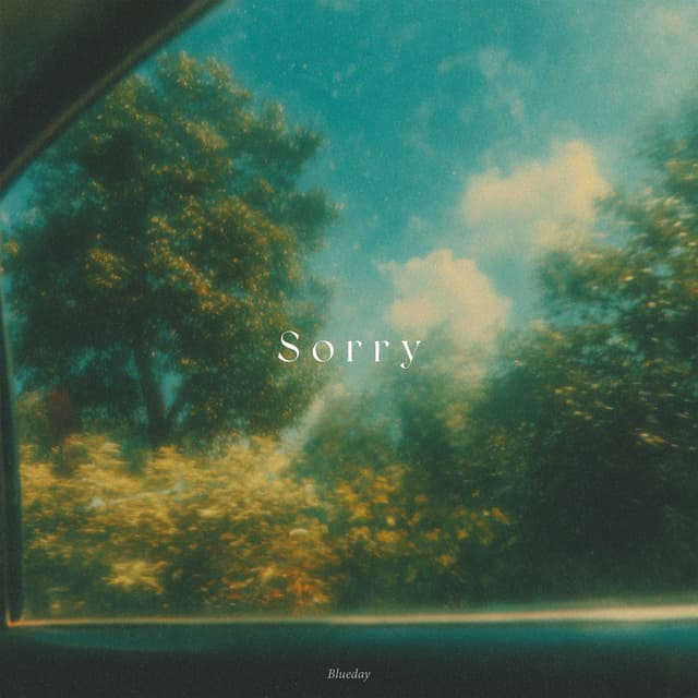 Album cover art for Sorry