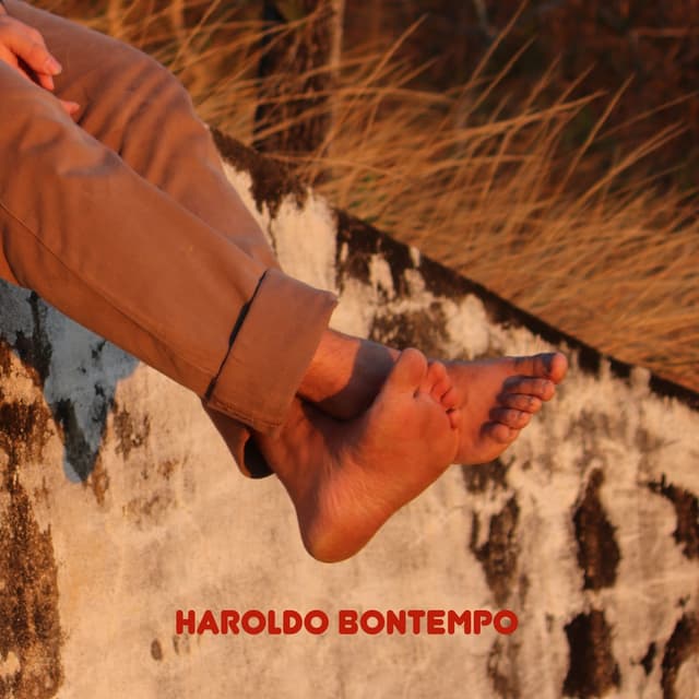Album cover art for Haroldo Bontempo