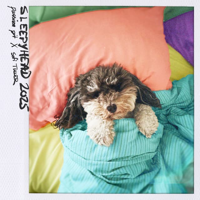 Album cover art for Sleepyhead 2025