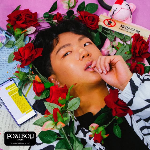 Album cover art for Foxiboy