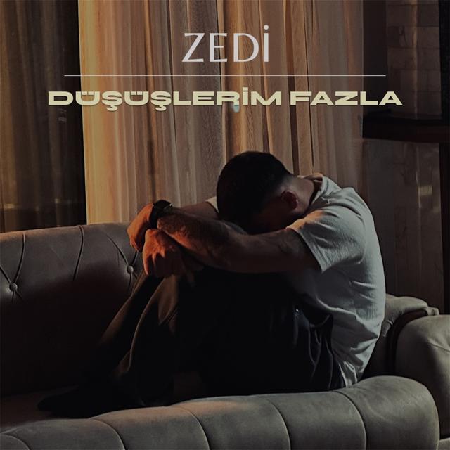 Album cover art for Düşüşlerim Fazla