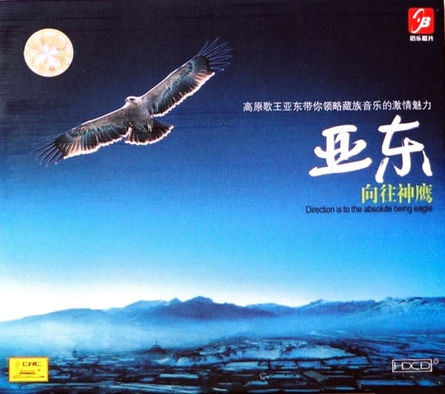 Album cover art for 向往神鹰