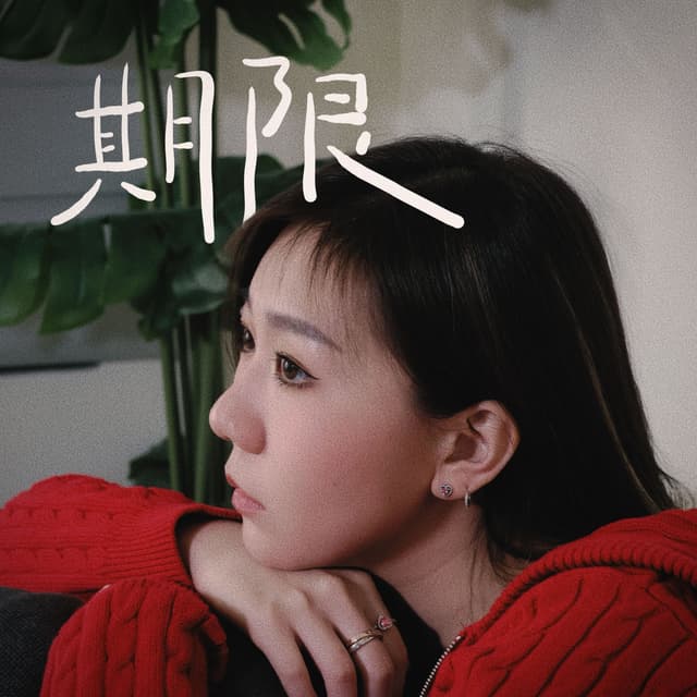 Album cover art for 期限