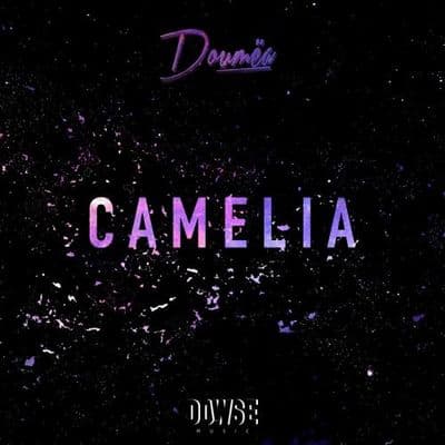 Album cover art for Camelia