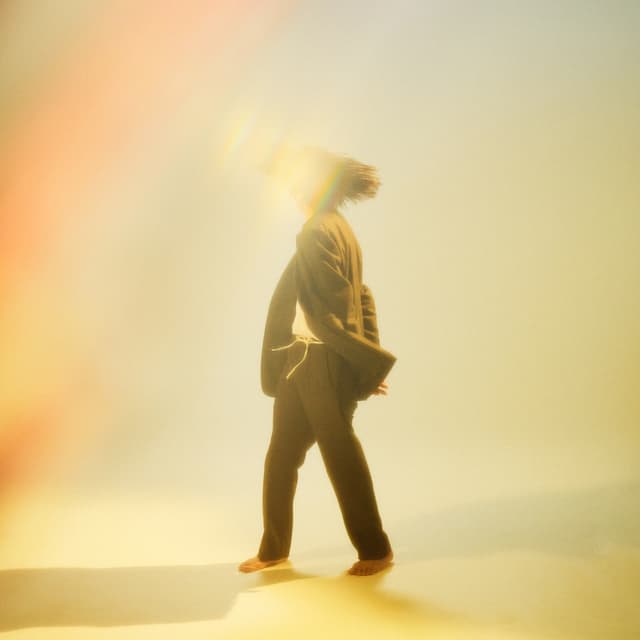 Album cover art for 光を投げていた