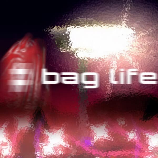Album cover art for Baglife