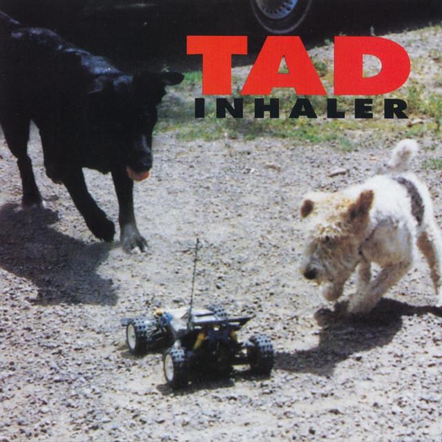 Album cover art for Inhaler