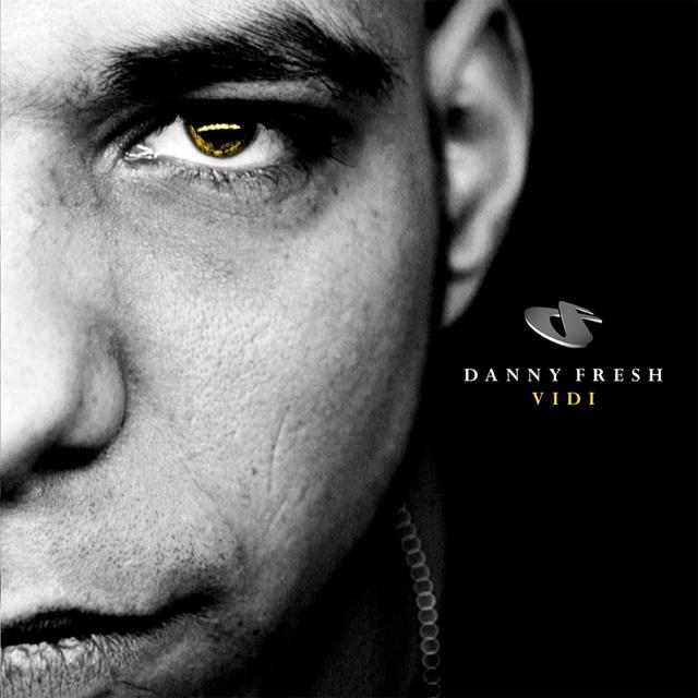 Album cover art for Vidi