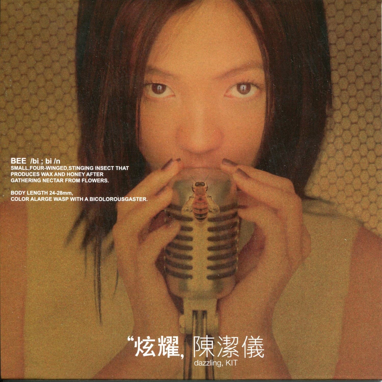 Lyric cover art