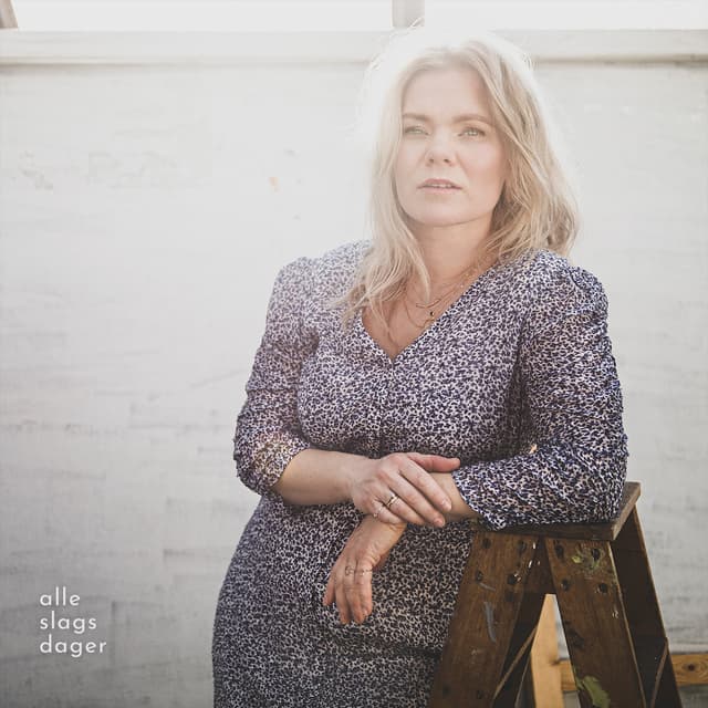 Album cover art for Alle slags dager