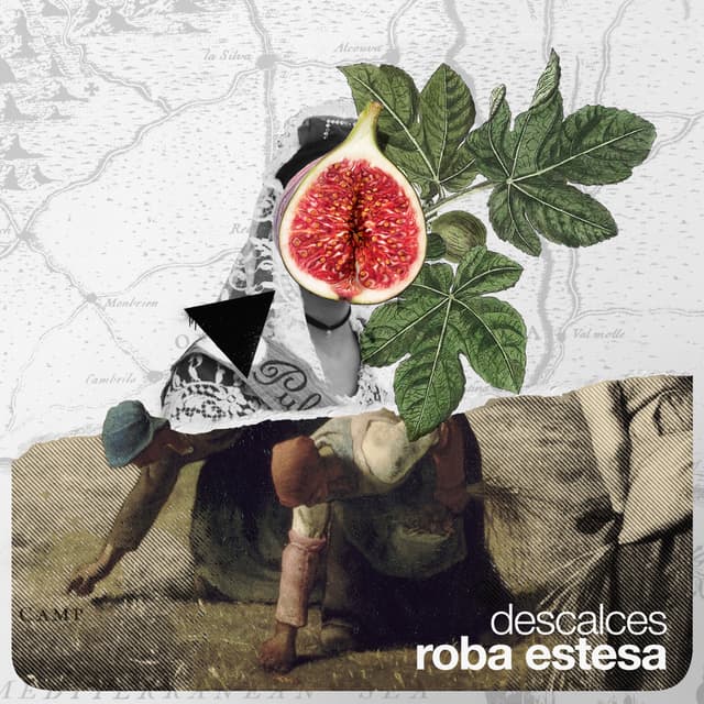 Album cover art for Descalces