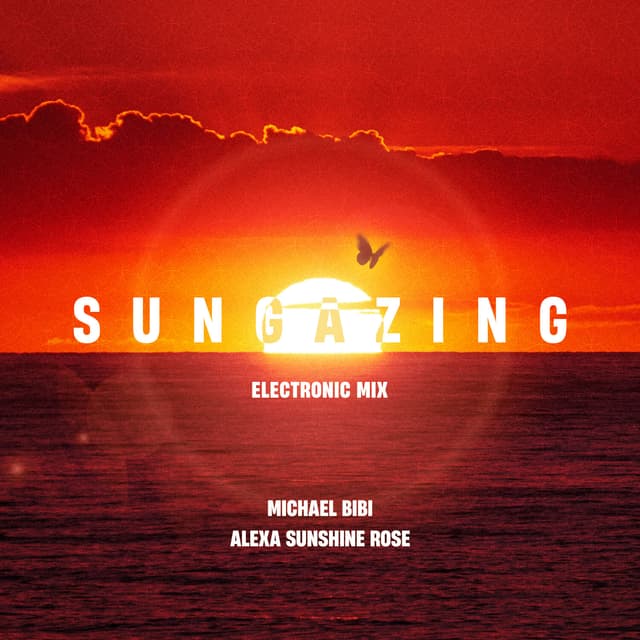 Album cover art for Sungazing