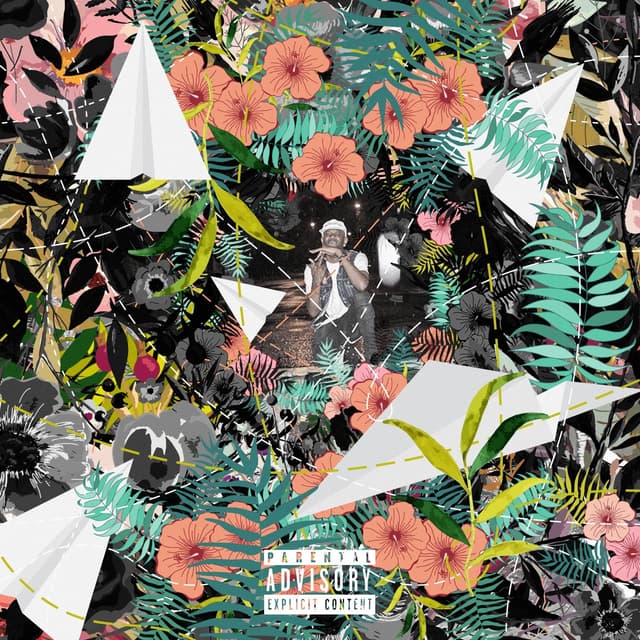 Album cover art for Flowers and Planes