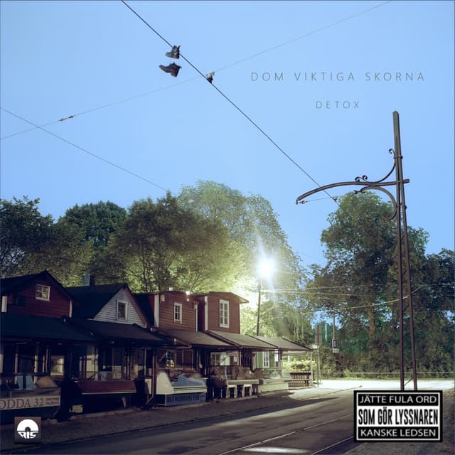 Album cover art for Detox