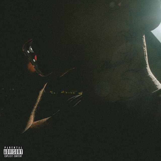 Album cover art for wyd