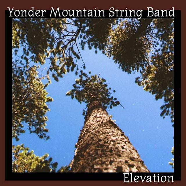 Album cover art for Elevation