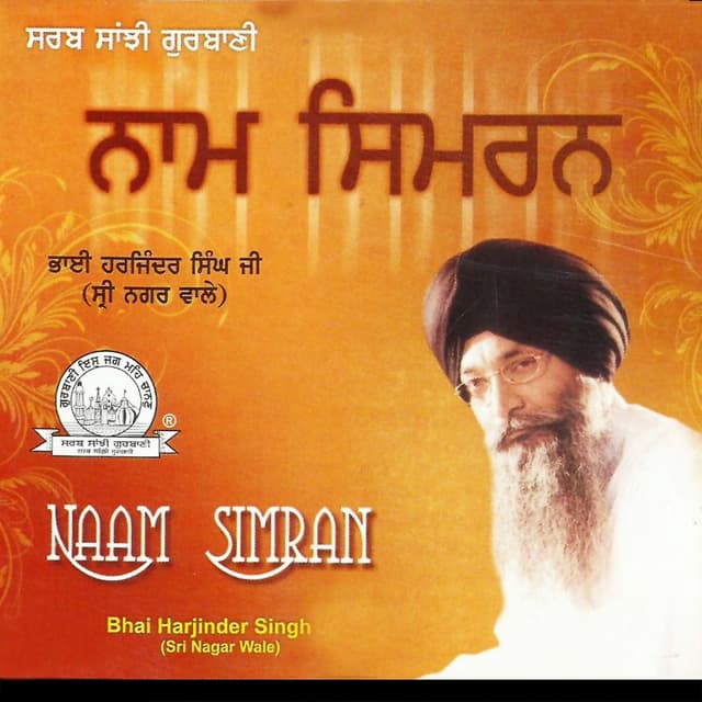 Album cover art for Naam Simran