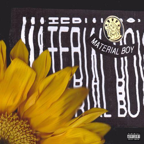 Album cover art for Material Boy
