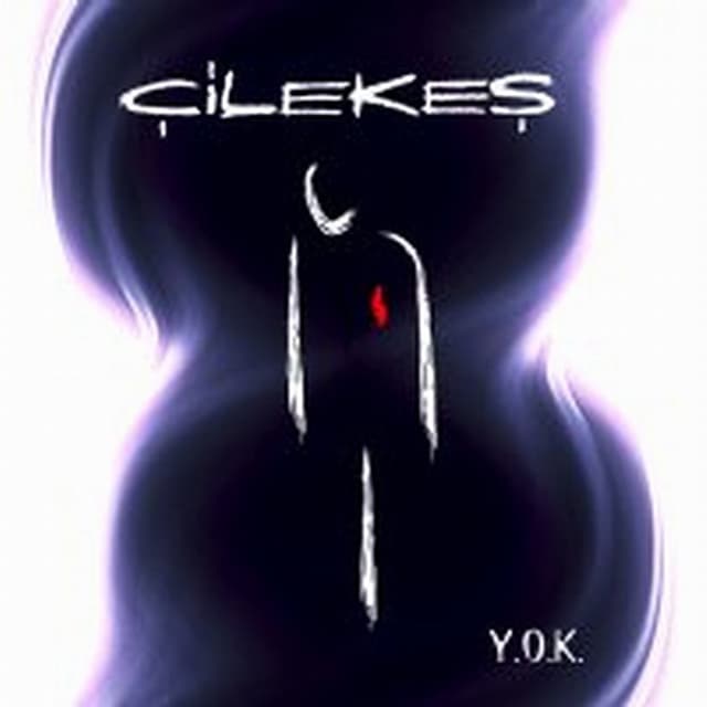 Album cover art for Y.O.K.