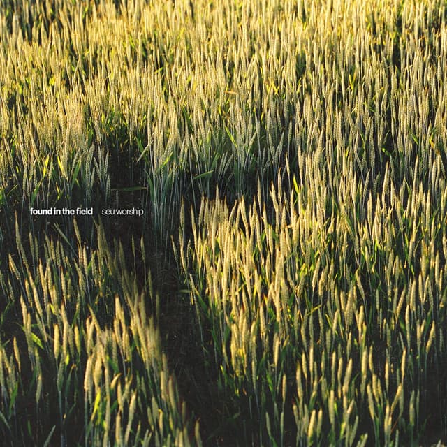 Album cover art for Found in the Field